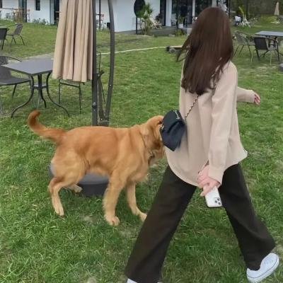 杰夫巴克利：曲终未散
